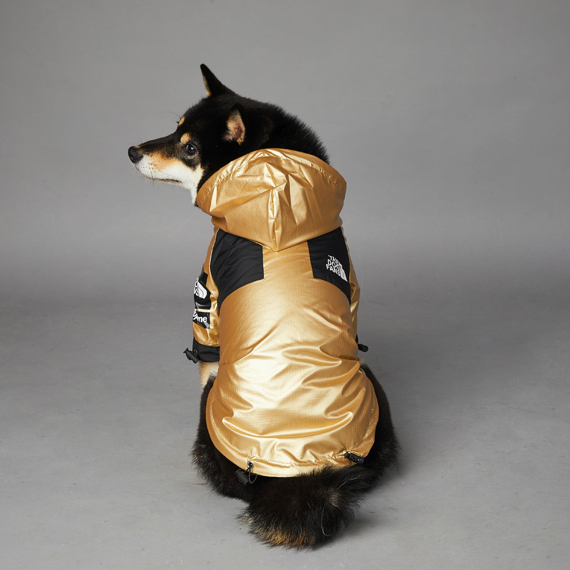 Dog Jacket