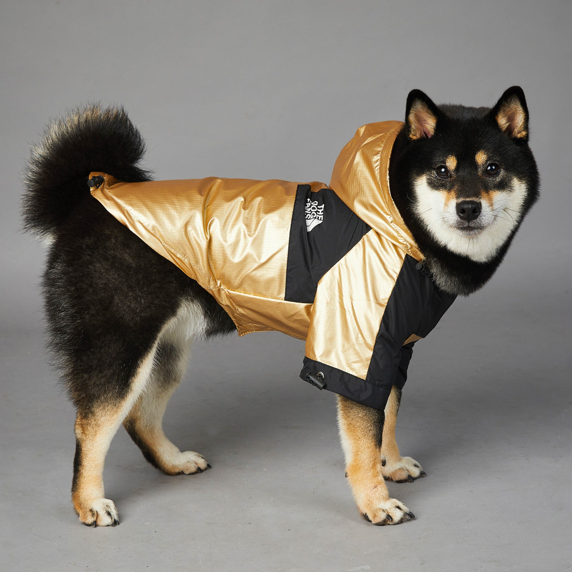 Dog Jacket