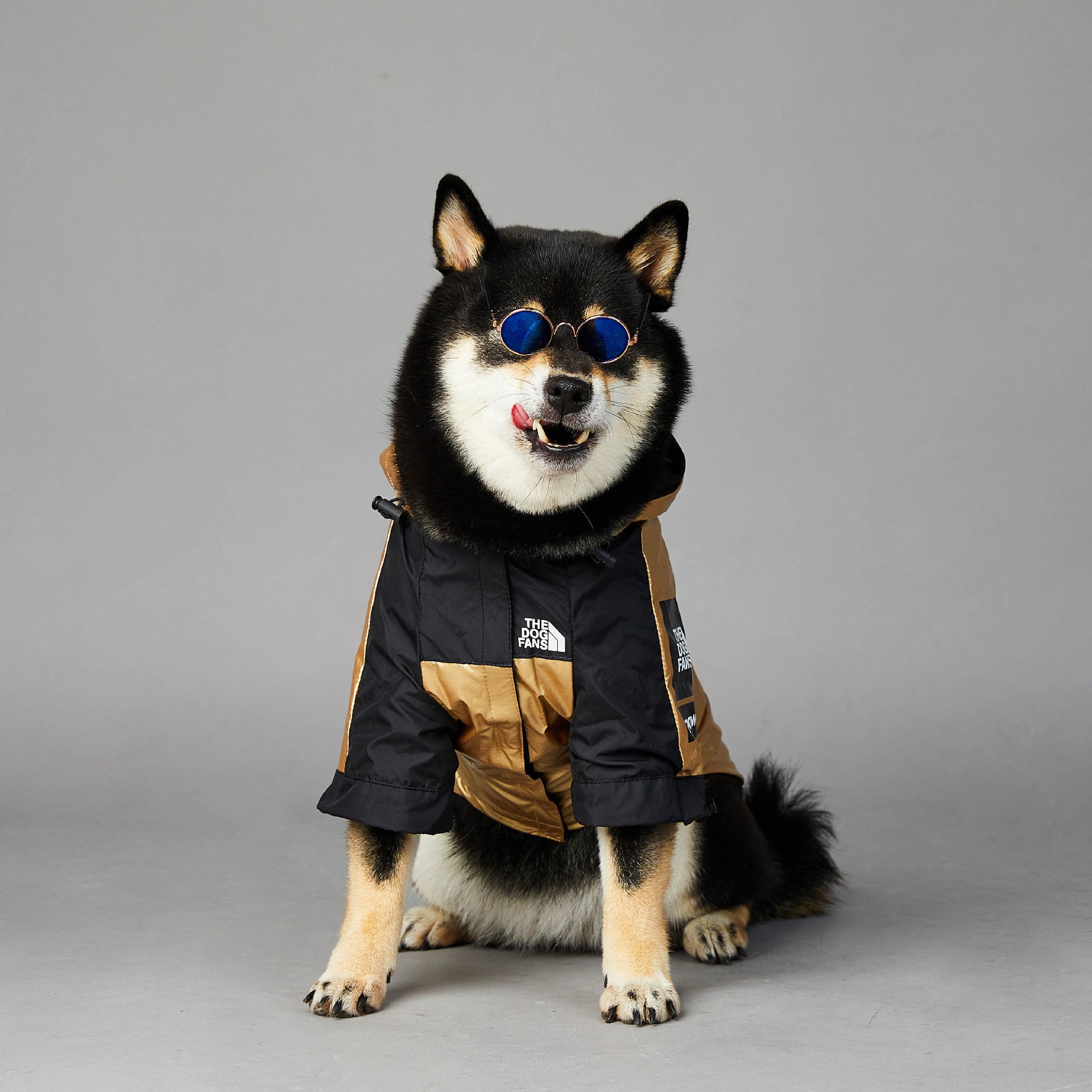 Dog Jacket