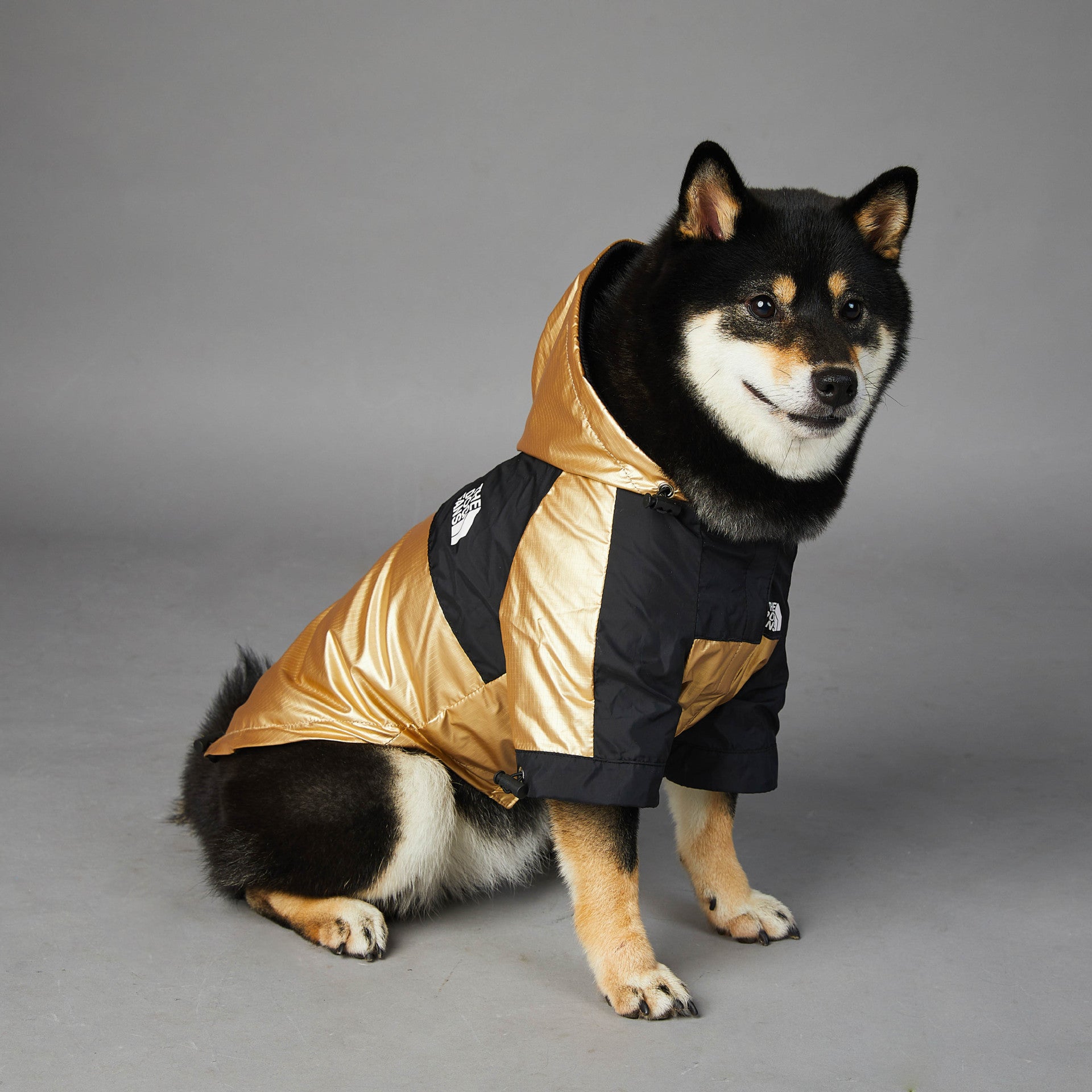 Dog Jacket